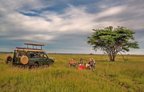 Masai Mara Serengeti Zanzibar