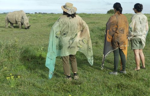 Ol Pejeta And Masai Mara