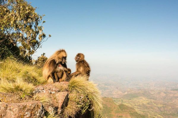 Tourism in Ethiopia