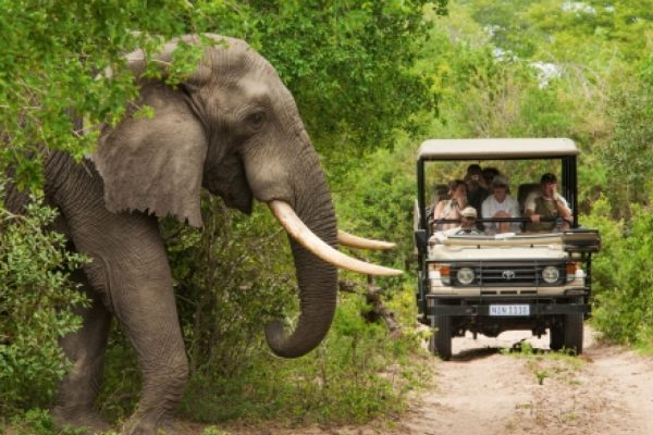 Tourism in South Africa