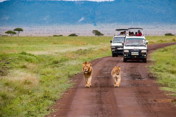 Kenya tourism