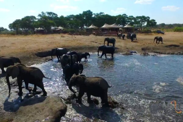 Somalisa Camp, Hwange National Park, Zimbabwe