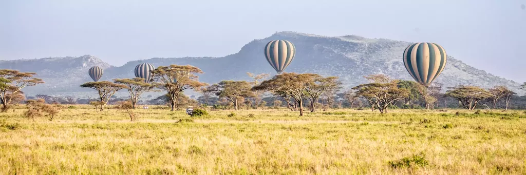 Best Time to Visit Tanzania for Safari, Migration, Worst Time