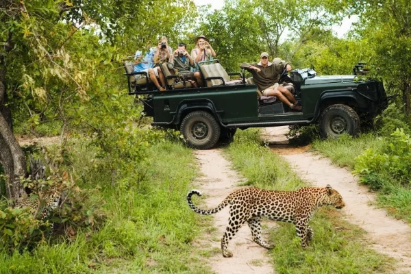 Tailor-Made Luxury Safaris in Africa