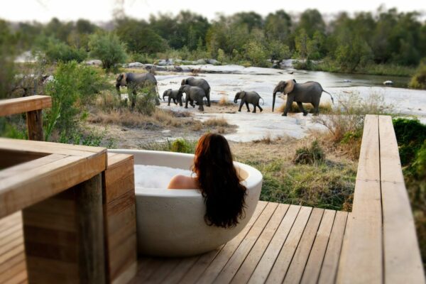 South Africa Honeymoon.
