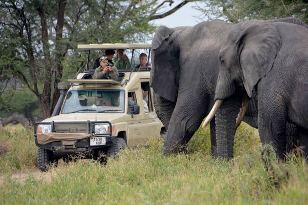 Tanzania Northern Circuit Safari