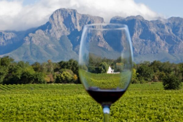 Cape Winelands