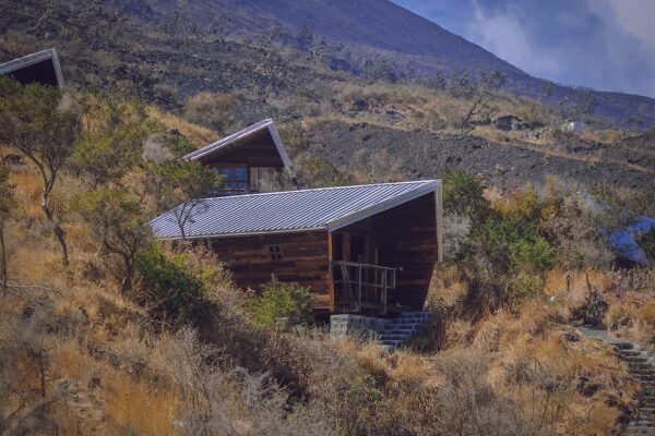 Mount Cameroon