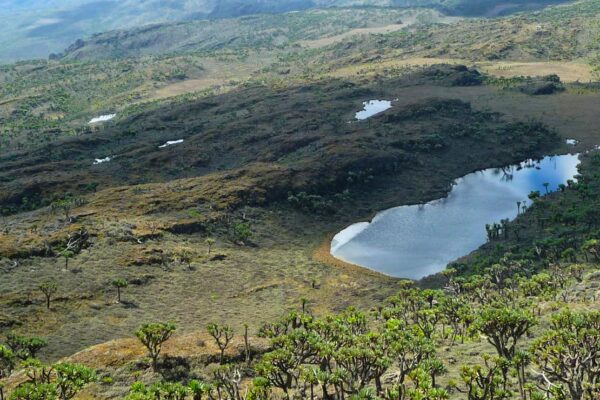 Mount Elgon National Park