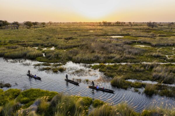 Affordable Botswana Safari