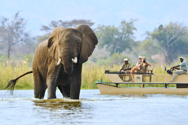 Affordable Malawi Safaris