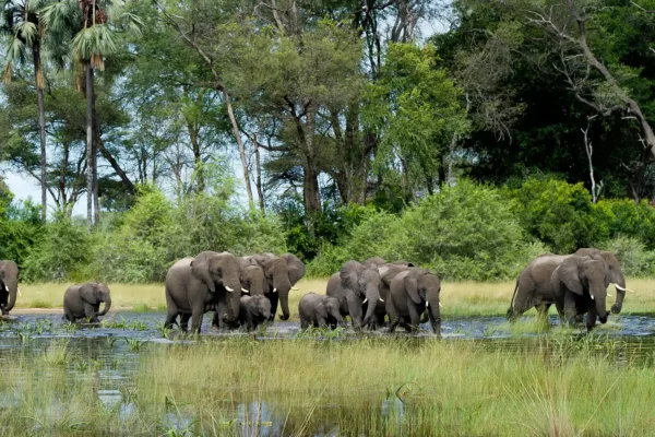 Botswana Travel Vacations