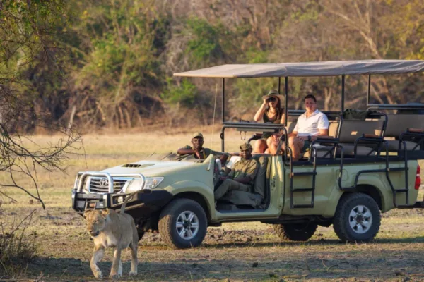 Conservation Malawi safari