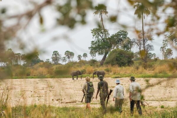 Malawi Southern Circuit