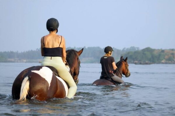 River Nile Horse Safari Itinerary