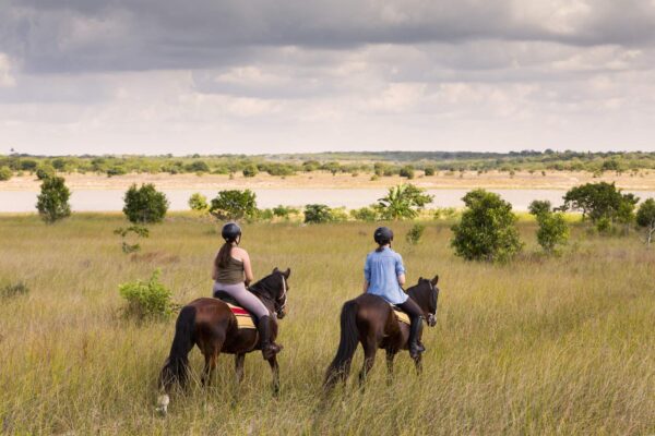 Surf And Turf Horseback Riding