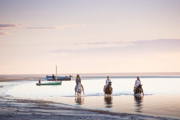 Surf And Turf Horseback Riding