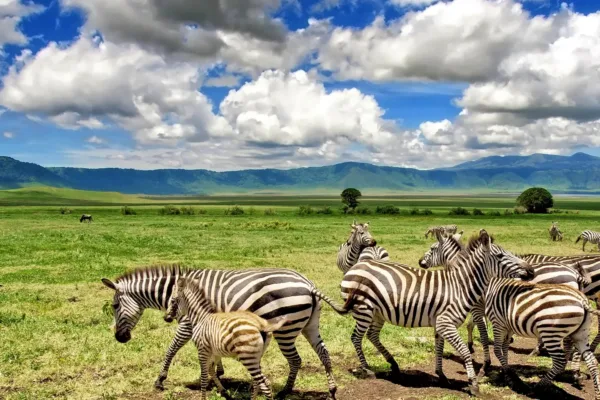 Tanzania Travel Vacations