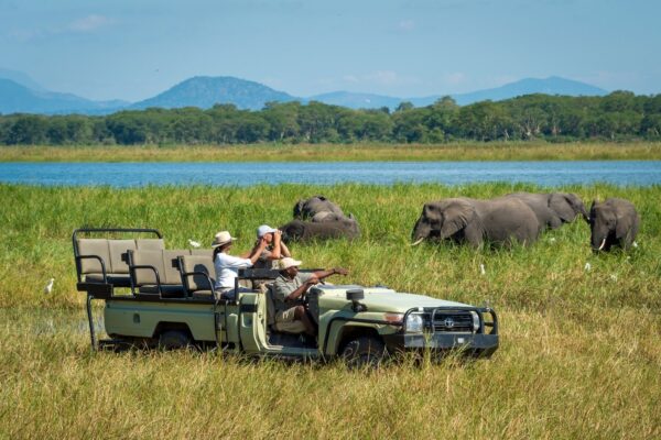 Warm Heart Safari in Malawi