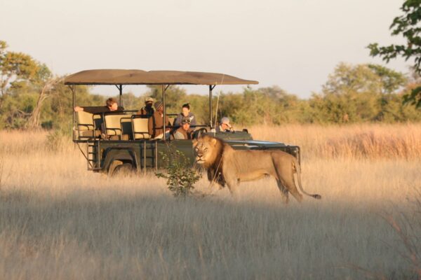 Zambia vs Zimbabwe vs Botswana Safari