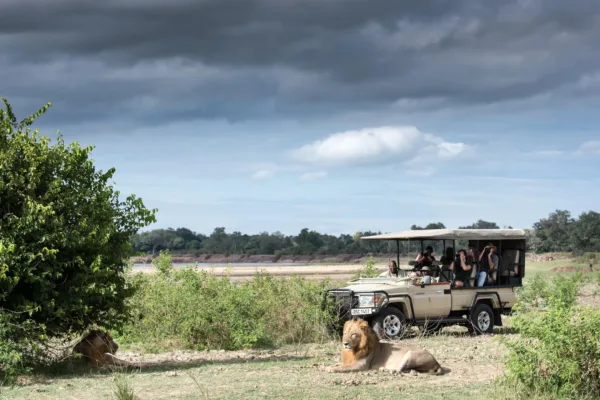 Affordable Zambia Safaris