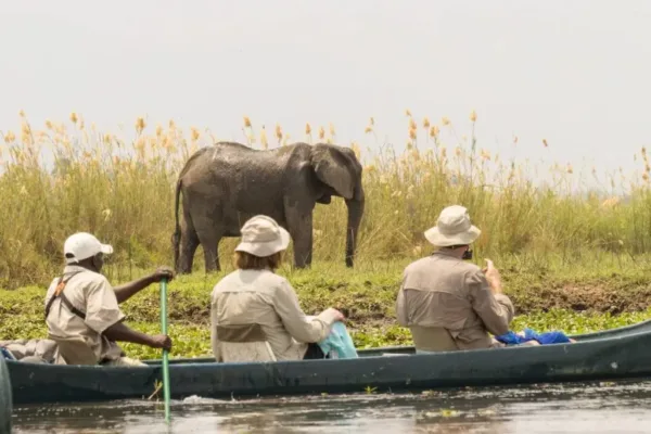 Affordable Zimbabwe Safaris