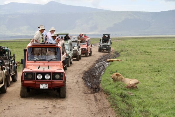 10 Days Kenya and Tanzania safari