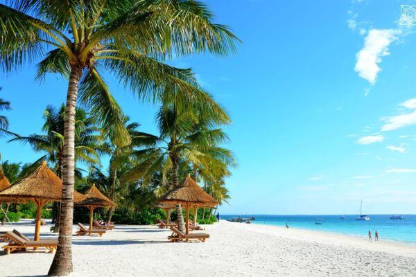 Affordable Zanzibar Tours Packages
