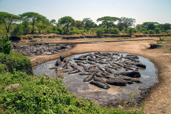 Katavi National Park