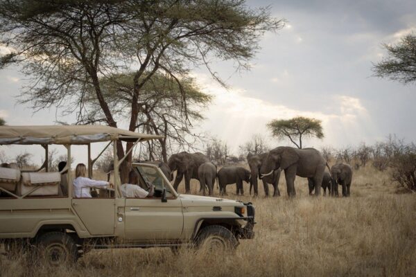 Ruaha and Nyerere Itinerary Ruaha and Nyerere Itinerary