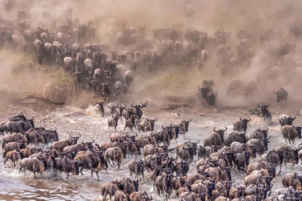 Tanzania Migration Safari