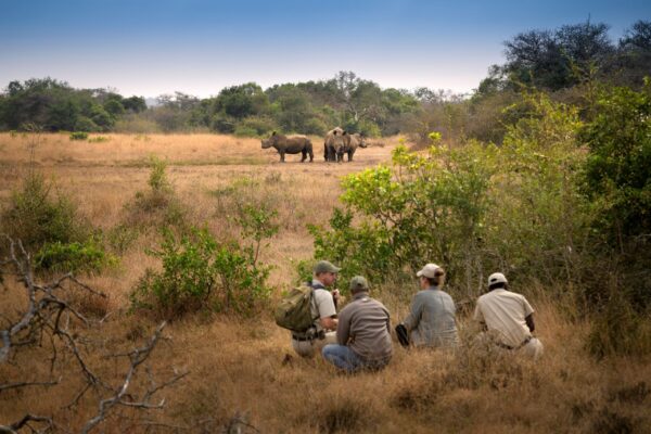 Walking Safaris Africa