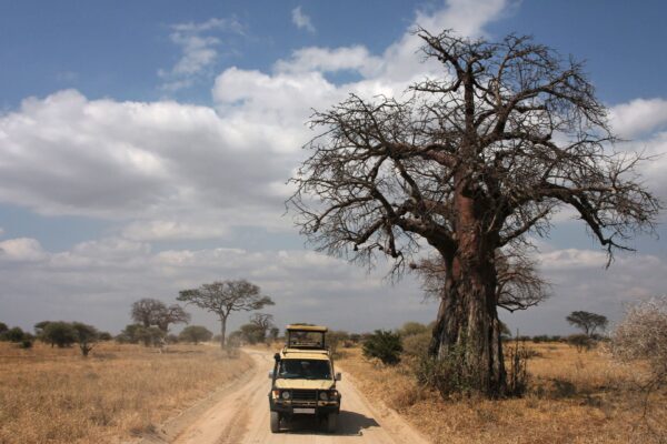 Tanzania vs Uganda vs South Africa vs Botswana vs Zambia Itinerary