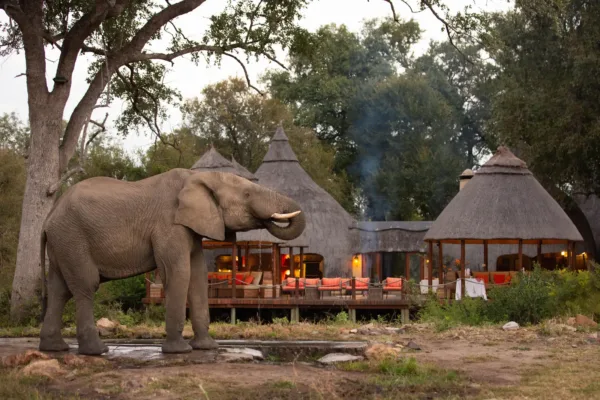 all inclusive safaris