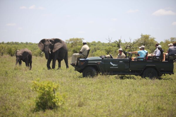 South Africa Safaris for Families