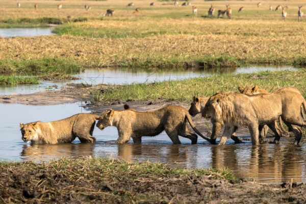 African Odyssey Itinerary
