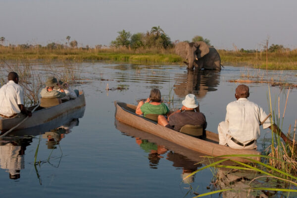 Private Group Safaris Africa For Adults: