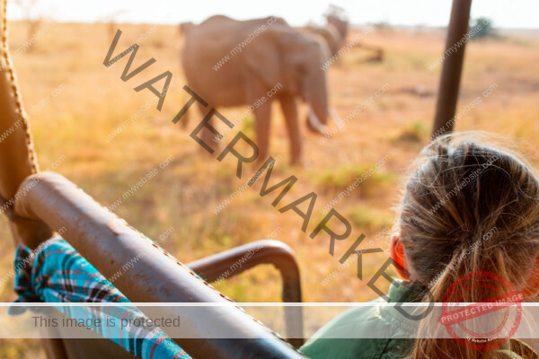 Multi-Generational Safaris