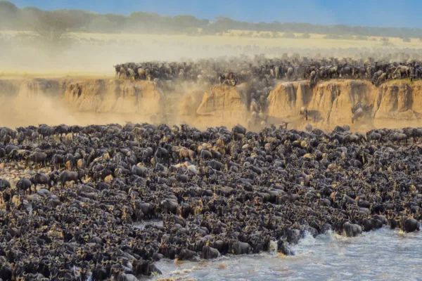 Tanzania's Serengeti Great Migration