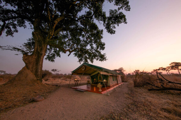 Nyerere vs Ruaha vs Zanzibar Itinerary