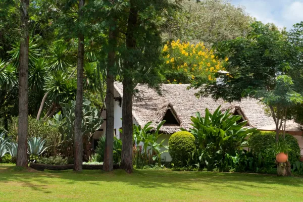 Plantation Lodge Tanzania