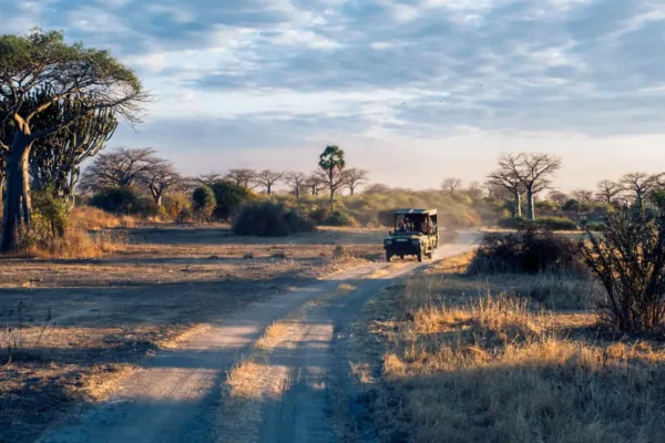 Serengeti Safari in March