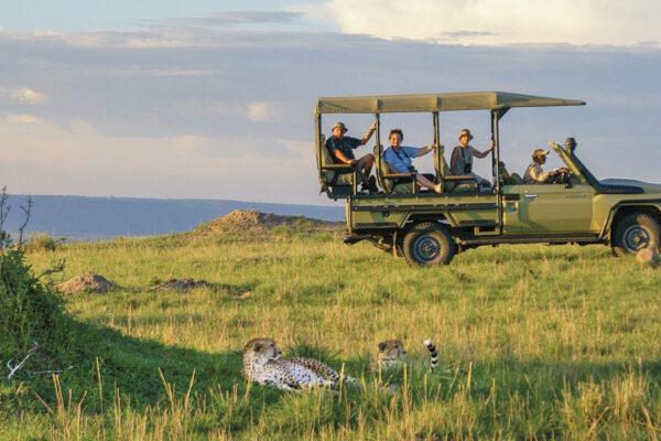 the Serengeti Safari in January