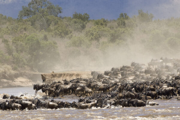 11-Day Tanzania Migration Safari