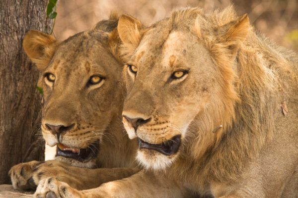 11-Day South Africa itinerary