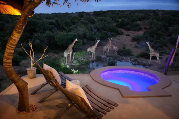 14-Day South Africa Itinerary