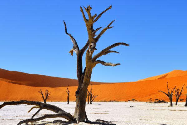 15-Day Namibia Itinerary