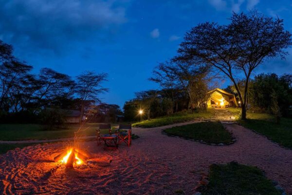 Amboseli & Masai Mara