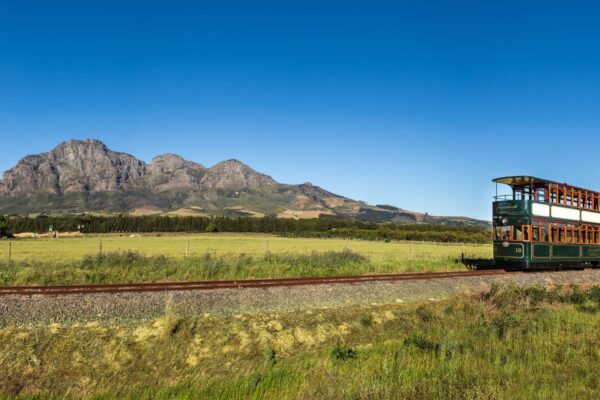Cape Town Winelands & Kruger