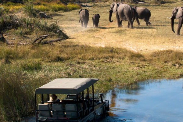 Classic Victoria Falls & Chobe Safari